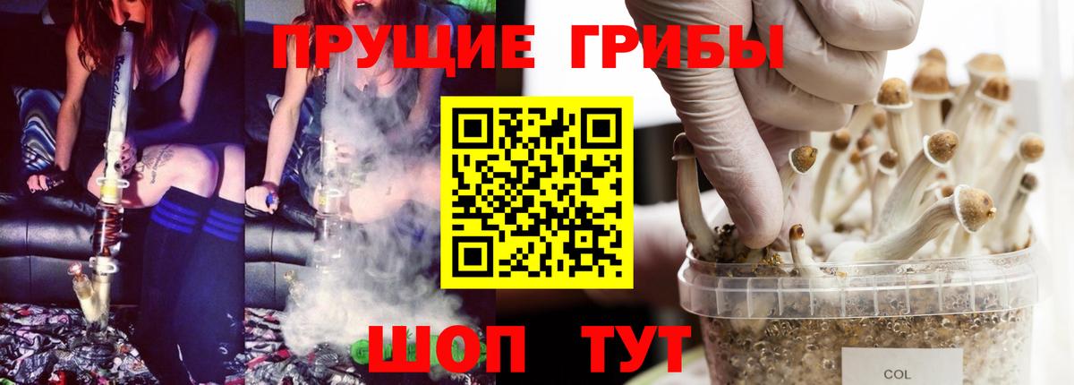 Галлюциногенные грибы MAGIC MUSHROOMS  наркошоп  Вход с VPN  Майкоп  Псилоцибиновые грибы GOLDEN TEACHER 